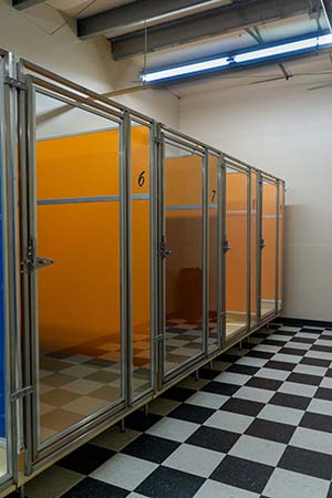 Dog boarding lounge