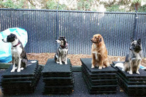 Training class