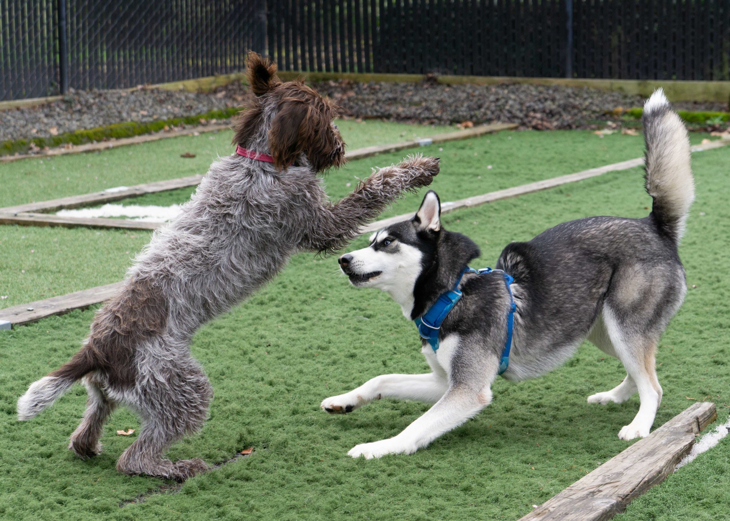 Play area